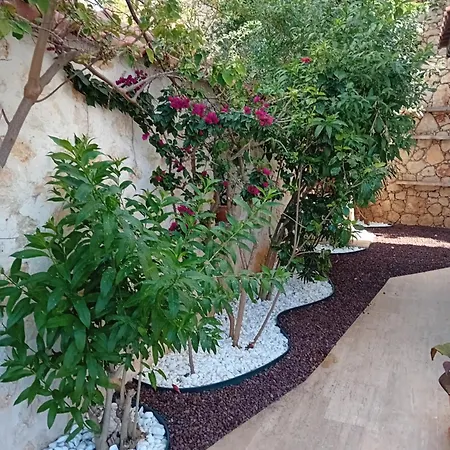 Sandarra Kalkan 빌라 *