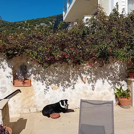 Sandarra Kalkan Kaş